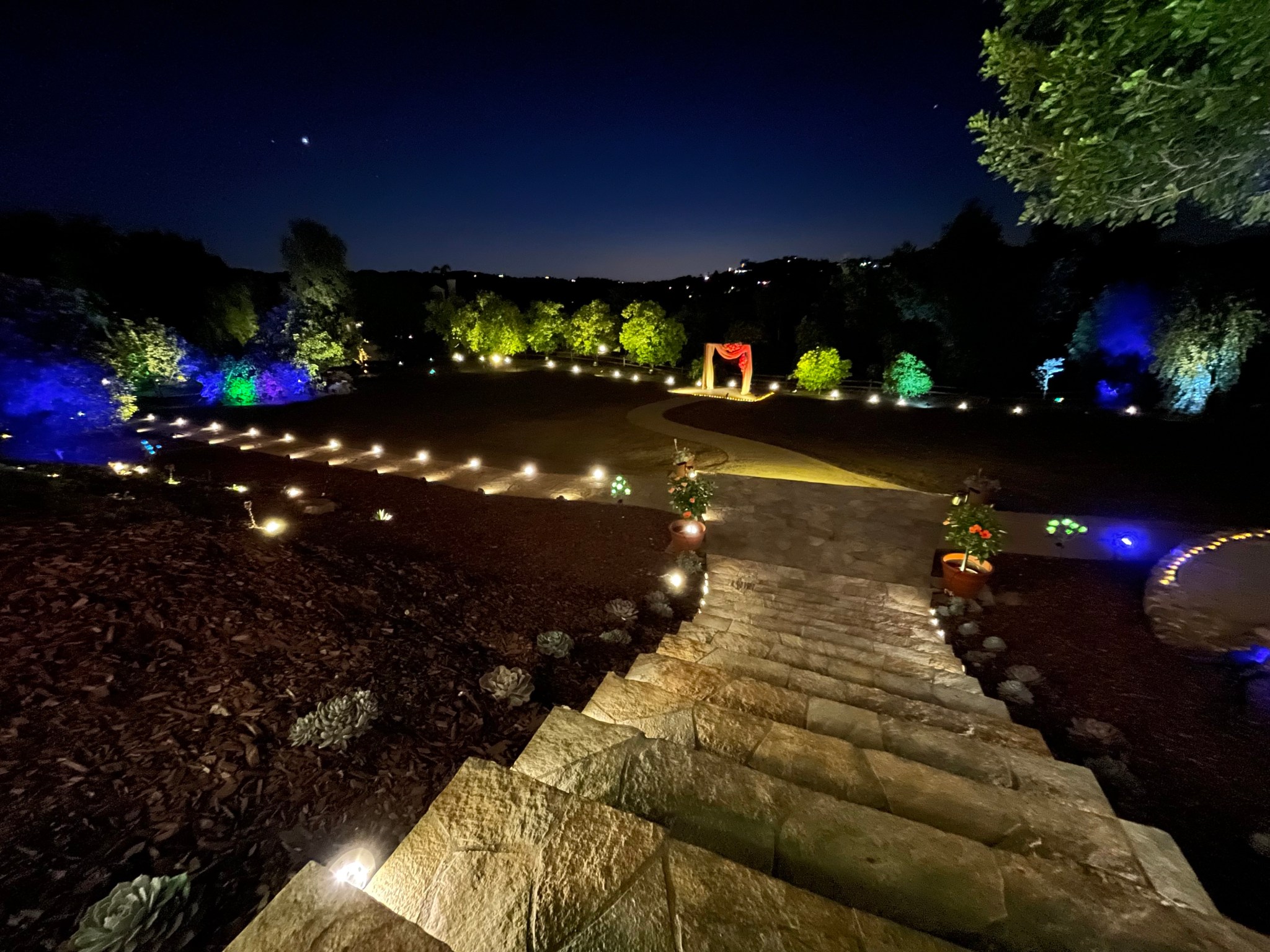 A winding path across Roya and Josh's property illuminated with warm path lights and colorful tree lighting after dark